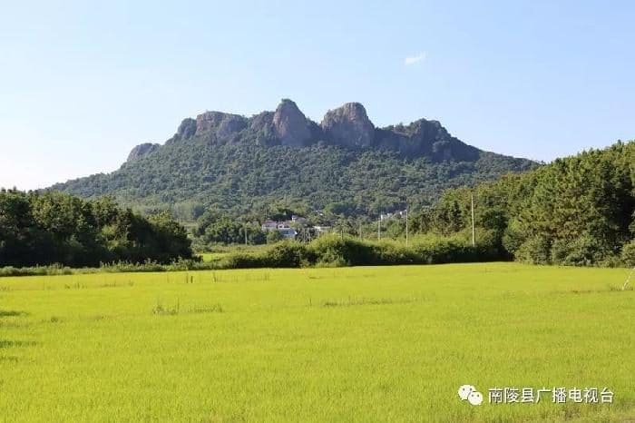 蝌蚪山生态农庄