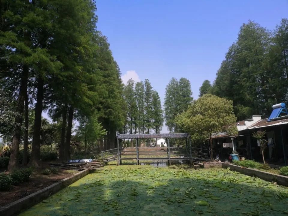 八仙岛生态园
