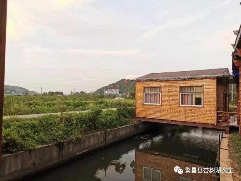 杏树湖农庄