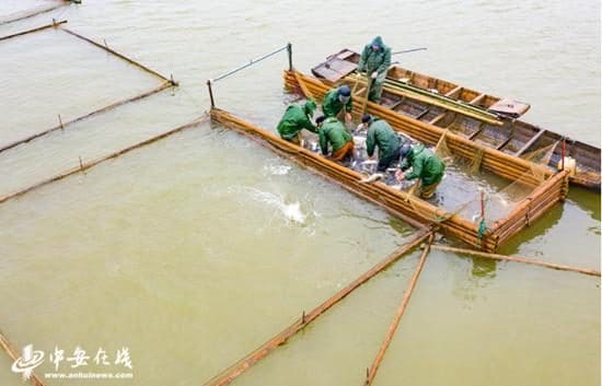 兴来水产·暖哥江鲜
