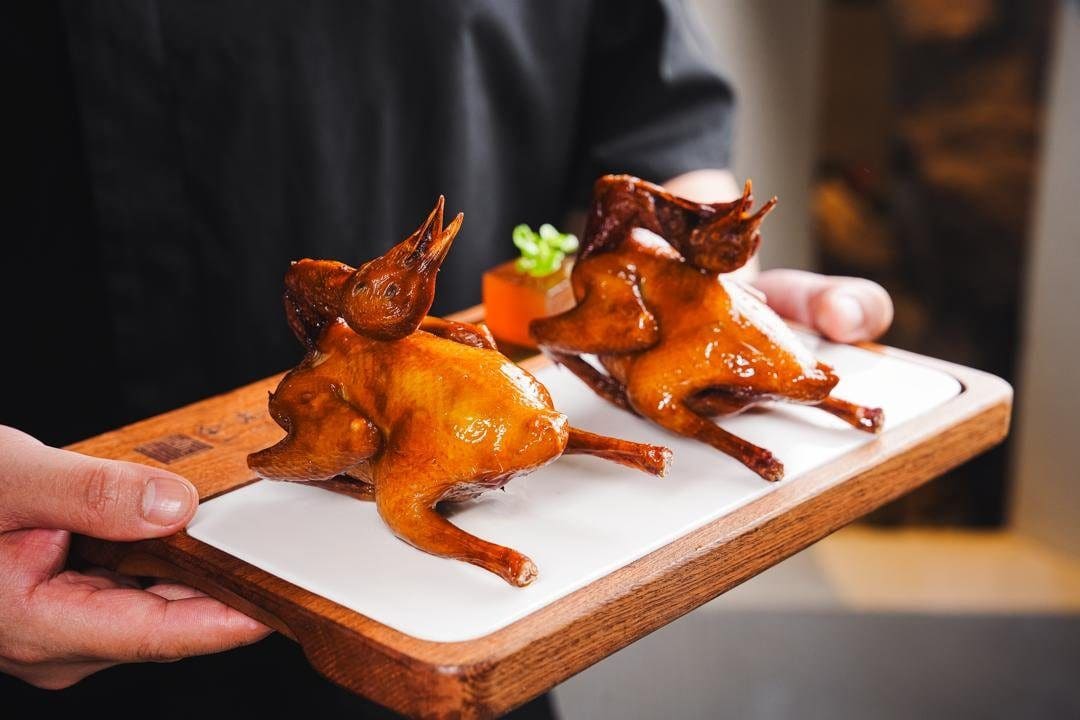 金光鸽王（环宇城MAX店）