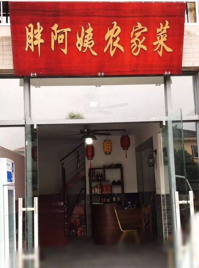 胖阿姨农家菜