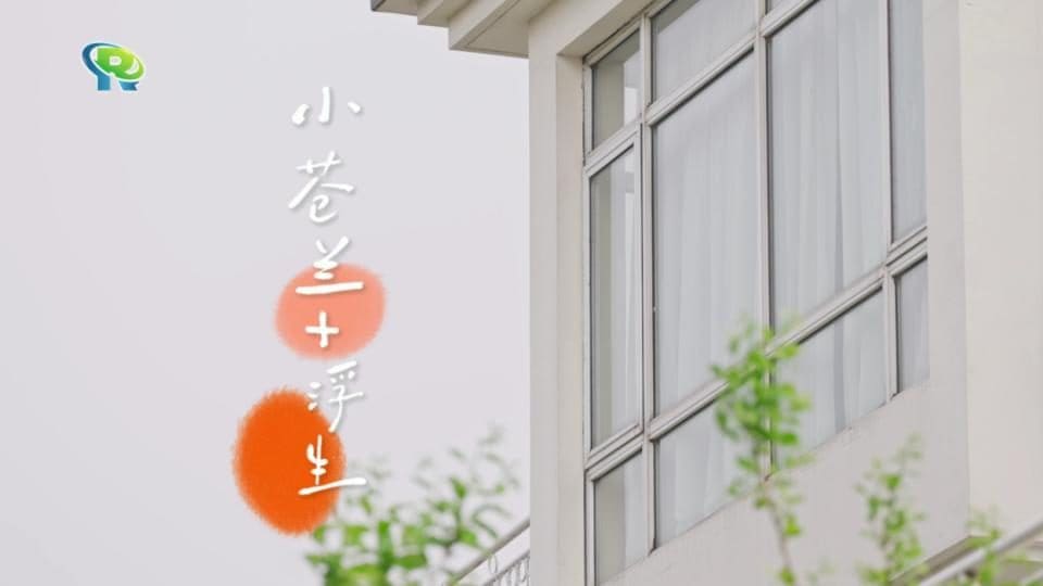 小苍兰·融合餐厅
