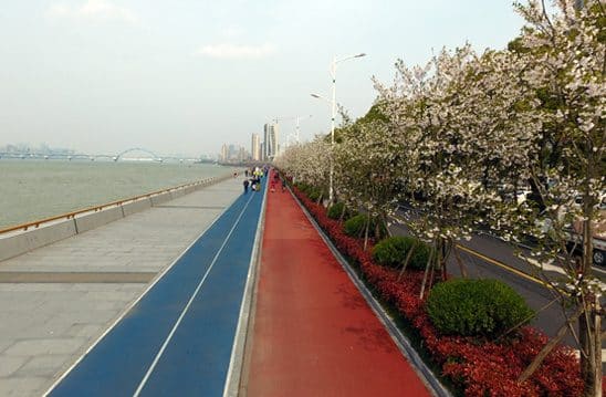 闻涛路最美跑道（樱花跑道）