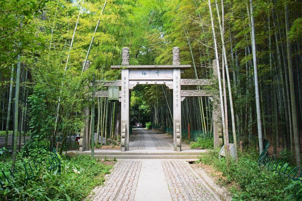 云栖竹径