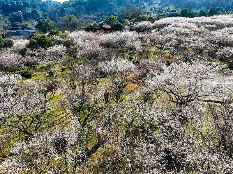 超山风景名胜区