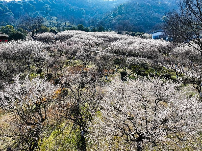 超山风景名胜区