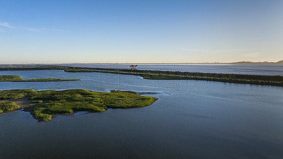 大湾区湿地公园
