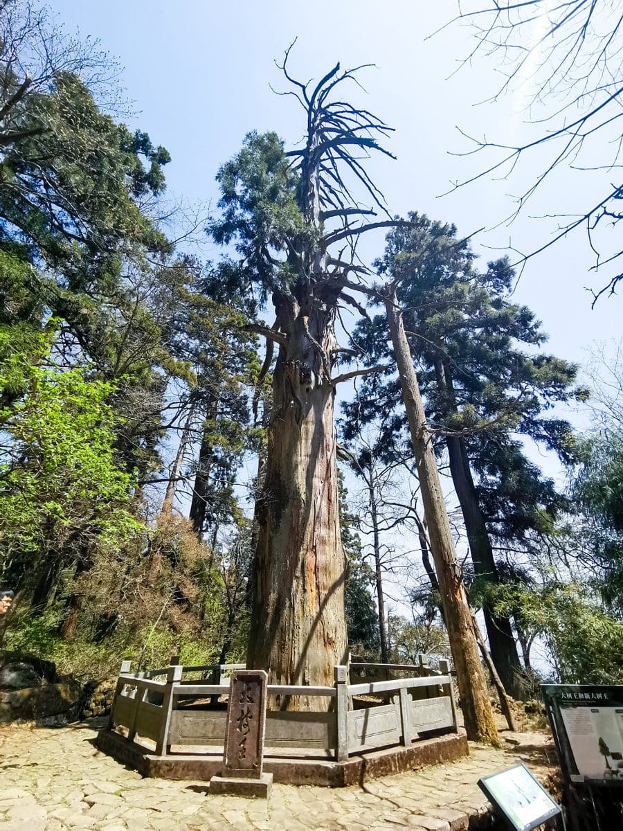 天目山景区