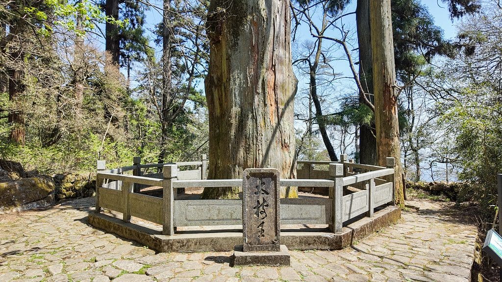 天目山景区