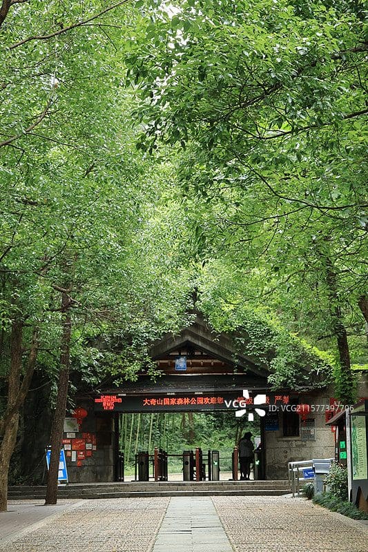 大奇山国家森林公园