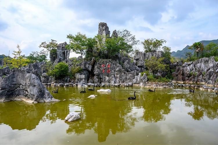 千岛湖石林景区