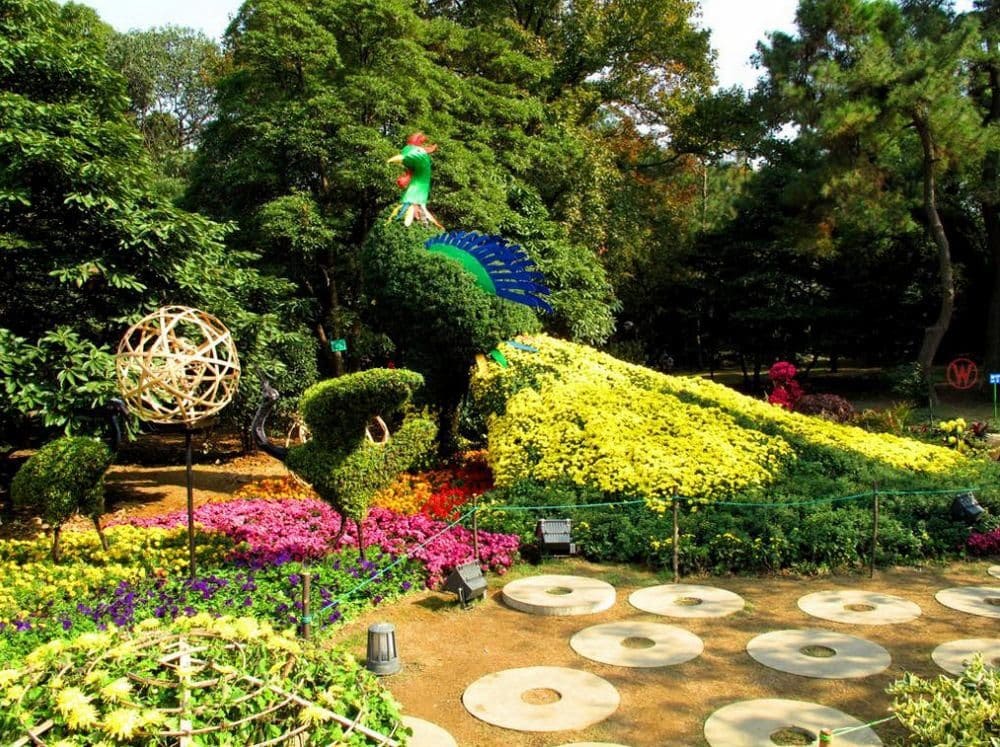 杭州植物园