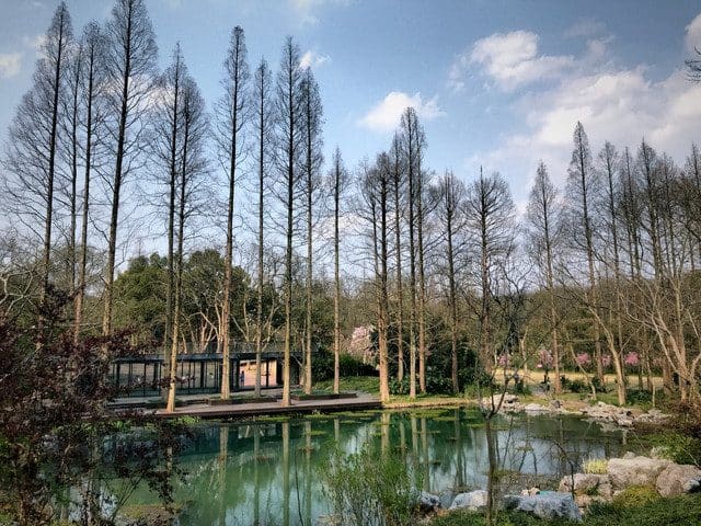 杭州植物园