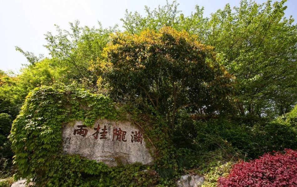 满陇桂雨公园（杭州少年儿童公园）