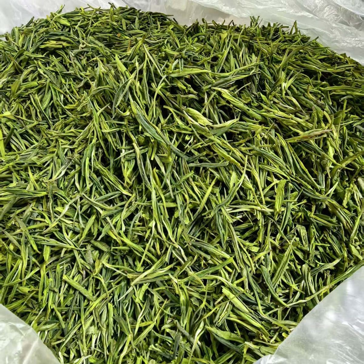 九诚茶业（福茂和记）